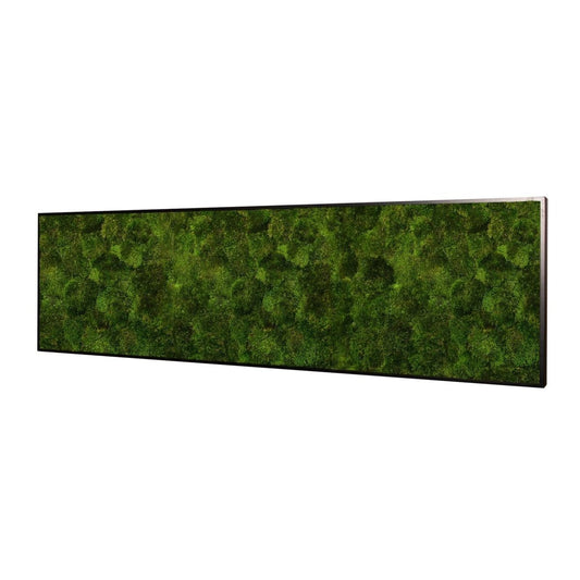 Moosbild Provence Moos 140x40 cm - Dream in Green