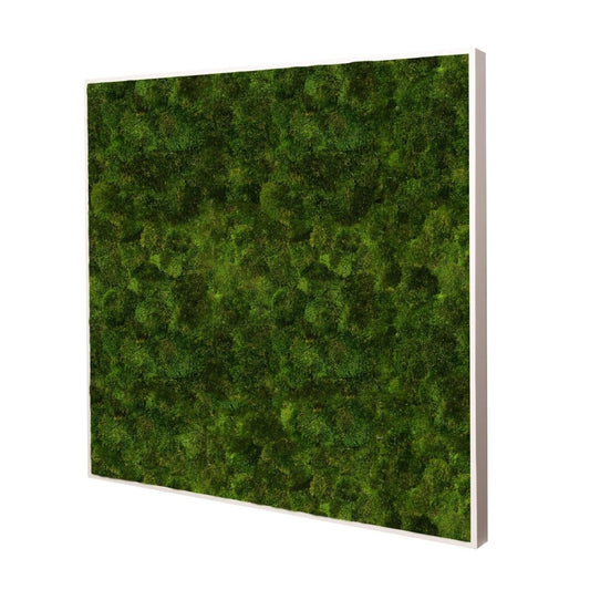 Moosbild Provence Moos 80x80 cm - Dream in Green