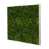 Moosbild Provence Moos 80x80 cm - Dream in Green