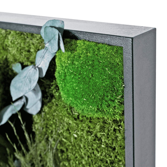 Pflanzenbild 60x30 cm - Dream in Green