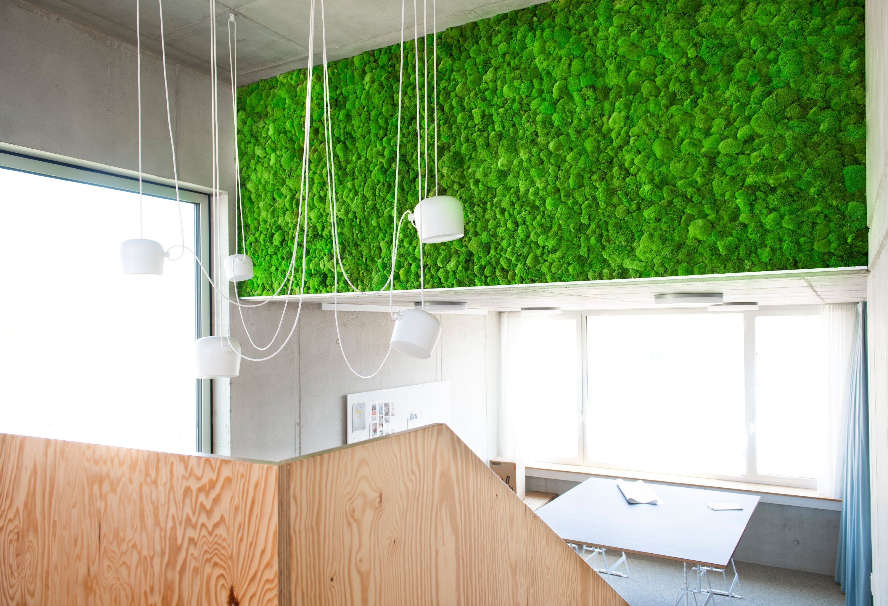 Büro Hügelmoos Wand