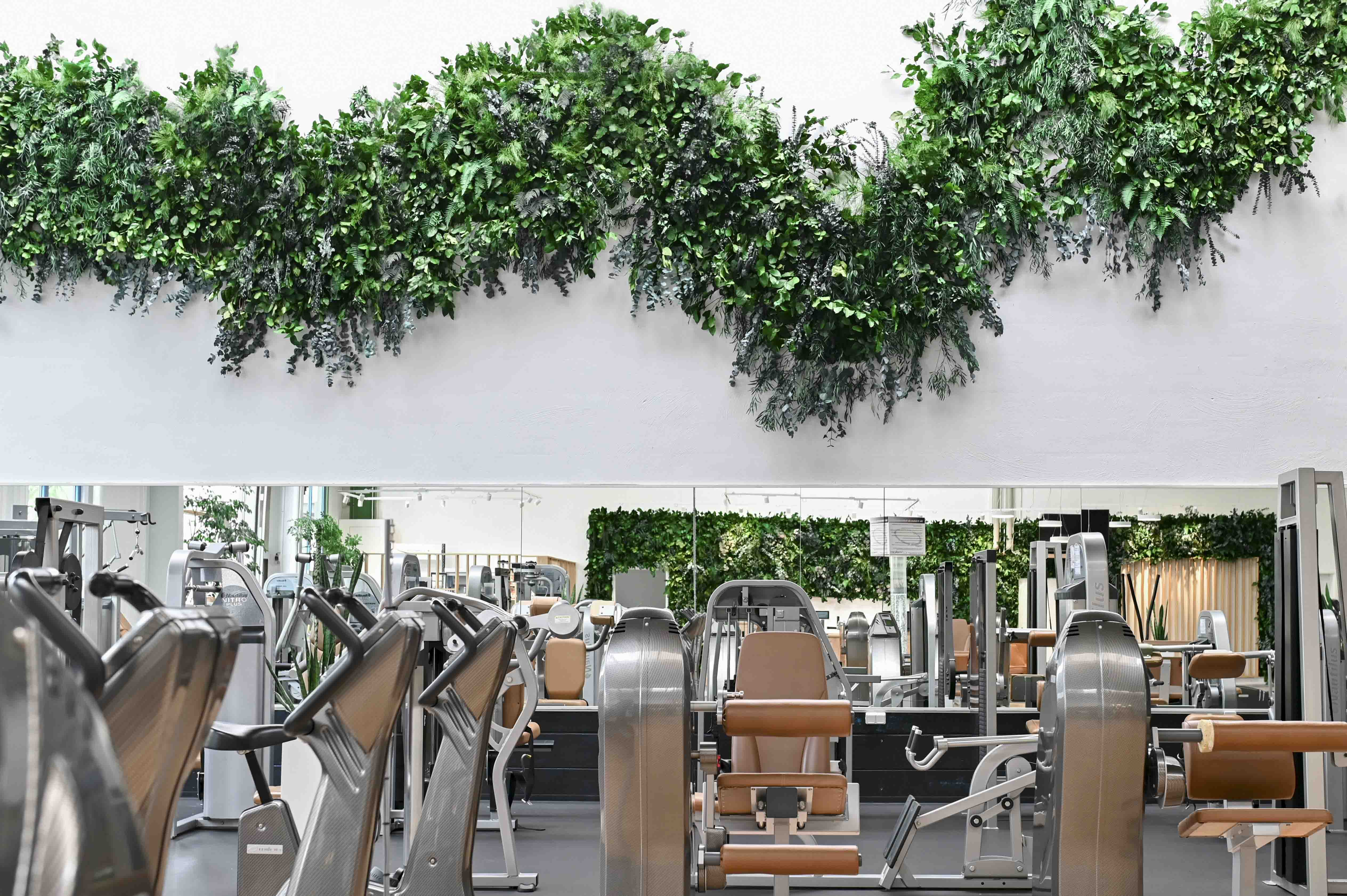 Fitnessstudio Pflanzenwand