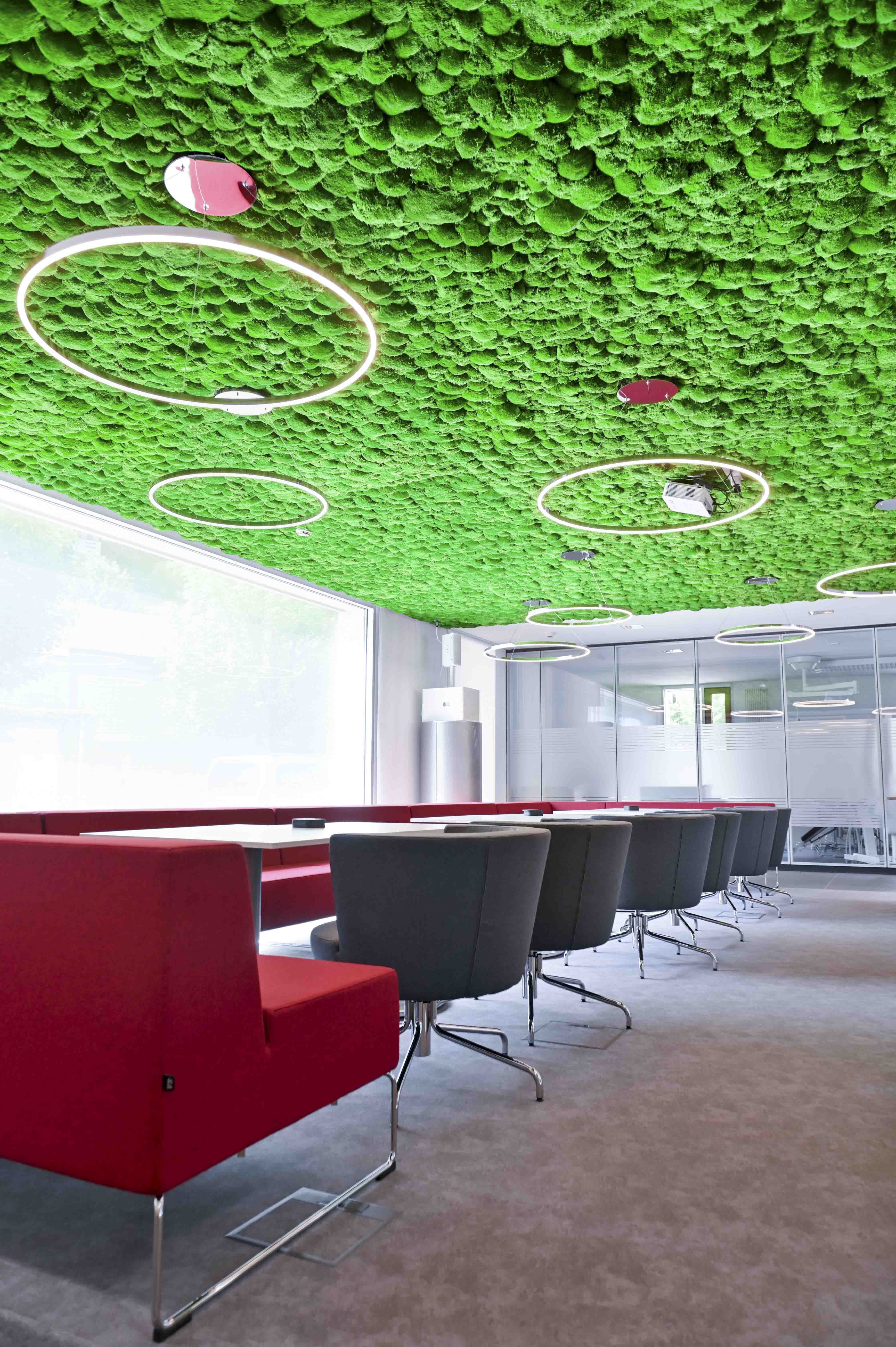 Implaneum Moosdecke Konferenz